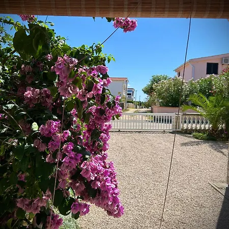 Apartament Azriel Vir