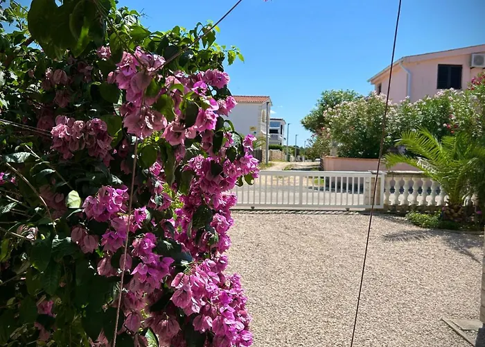 Appartement Azriel Vir